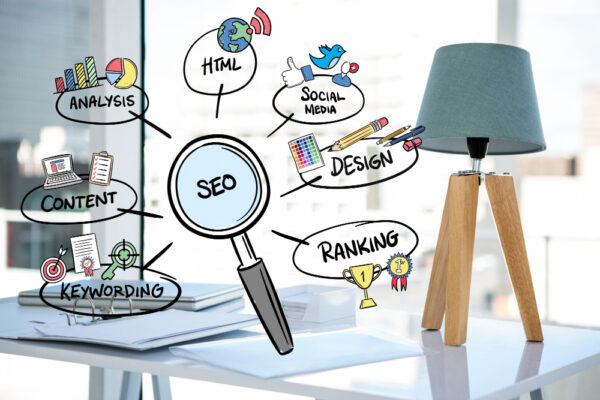 SEO PROFESSIONAL PLAN